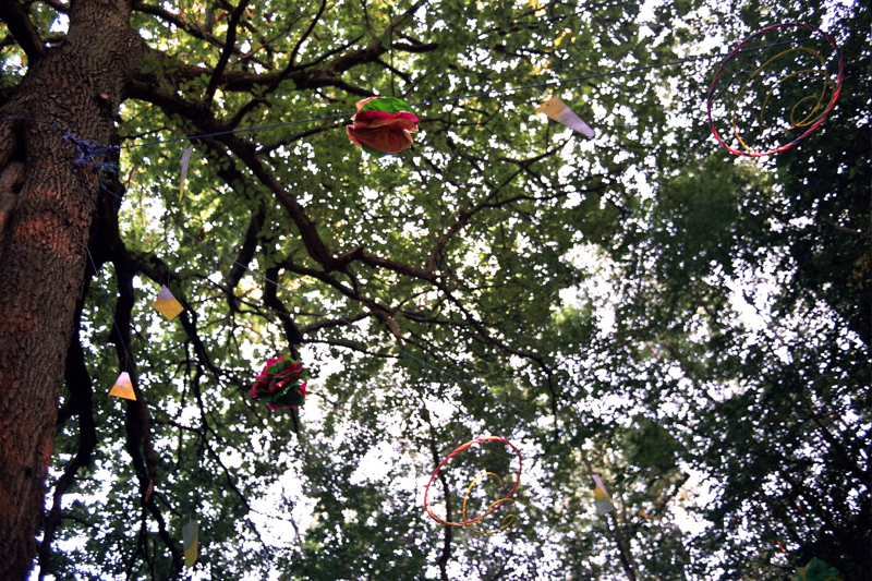 The tree canopy at Chin Up 2018. Photo by Joshua Jolly